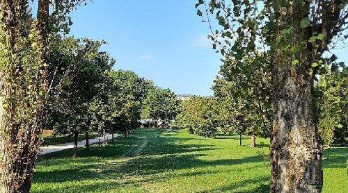 ACCOMPAGNAMENTO ANZIANI  AL PARCO A PERUGIA